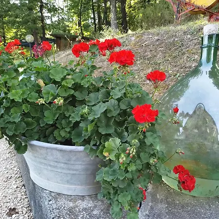 Πανσιόν La Casa Di Alma Roncobillaccio