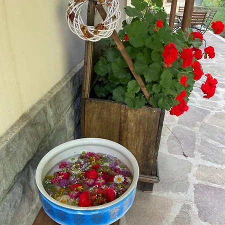 Πανσιόν La Casa Di Alma *
