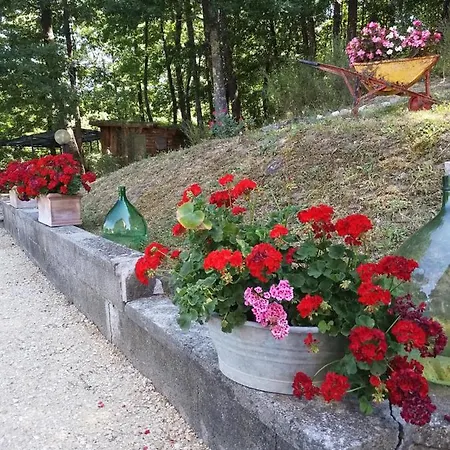 La Casa Di Alma * Roncobillaccio