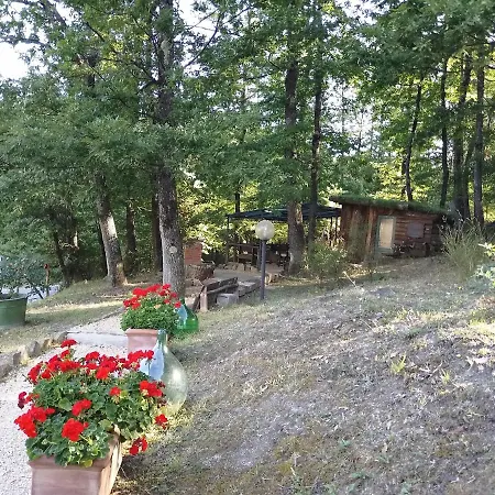 La Casa Di Alma *