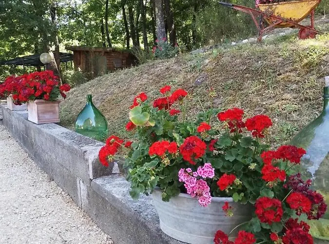 La Casa Di Alma * Roncobillaccio