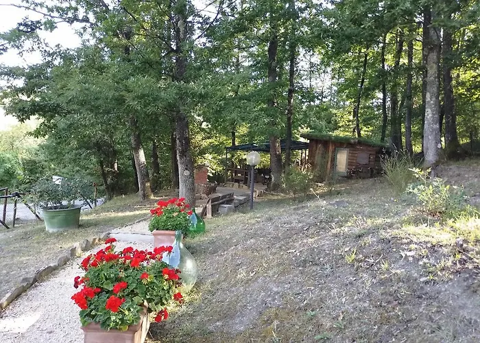 La Casa Di Alma *