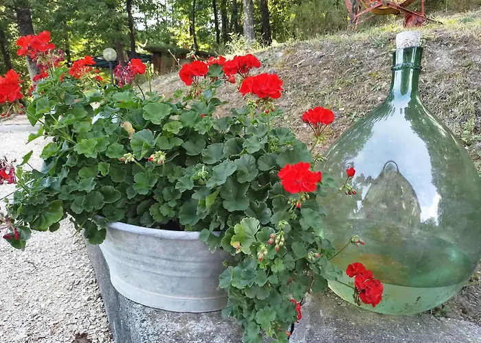 Pensjonat La Casa Di Alma Roncobillaccio