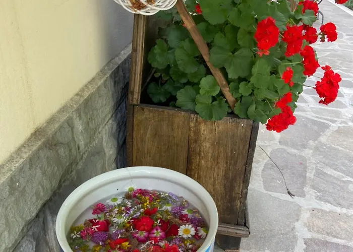 Pensjonat La Casa Di Alma *